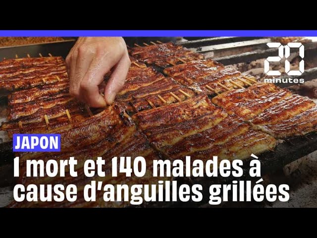 Japon : Un mort et plus de 140 personnes intoxiquées par de l'anguille grillée