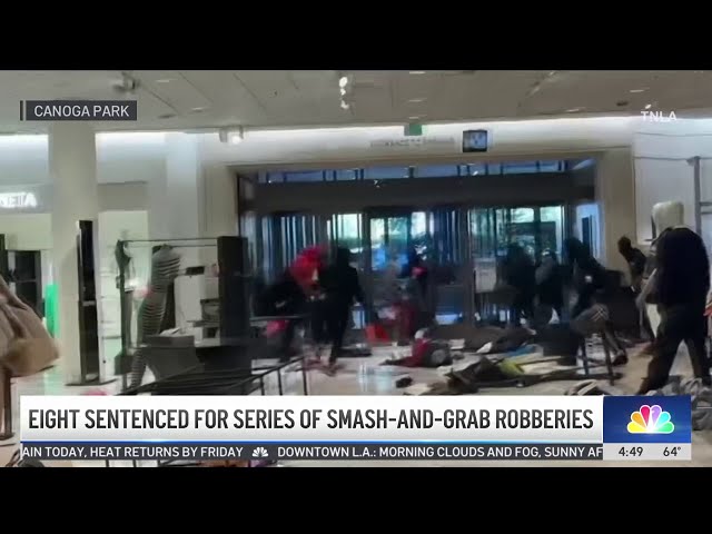 ⁣8 sentenced for series of smash-and-grab robberies