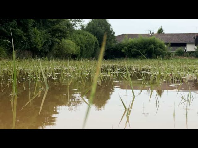 ⁣De la pluie, des orages et encore de la pluie