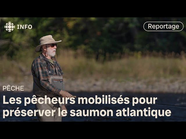 ⁣Les pêcheurs veulent préserver le saumon atlantique