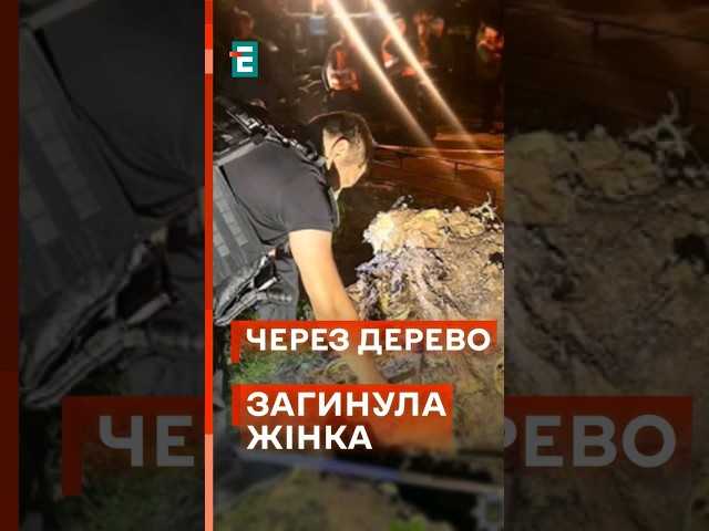 ⁣ ЗАГИНУЛА ЧЕРЕЗ ДЕРЕВО! Трагедія у Києві через негоду! #еспресо #новини