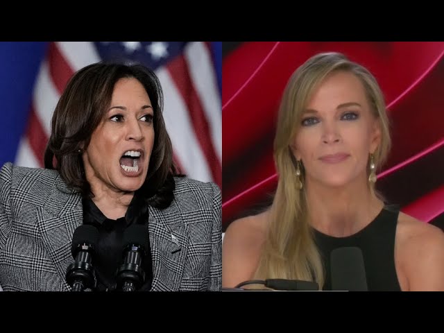 ‘Moronic’: Megyn Kelly slams Kamala Harris over her ‘word salad’ speeches