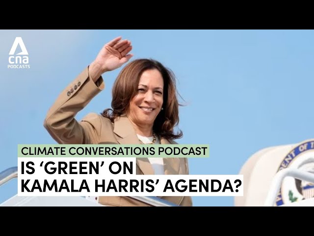 Would Kamala Harris bring some 'green' to the White House? | Climate Conversations podcast