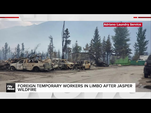 ⁣Temporary foreign workers in limbo after Jasper wildfire