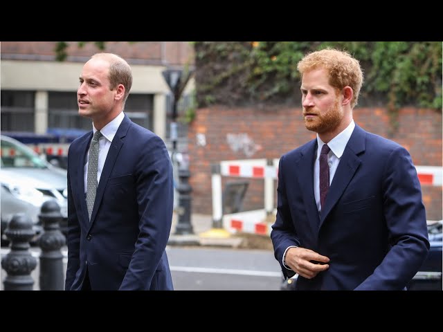 ⁣‘Not irreparable’: Prince Harry and Prince William’s ‘very bad’ rift can be fixed