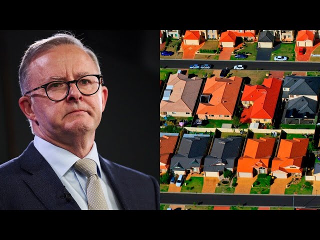 Labor must build a home ‘every 2.4 minutes’ to keep up with migration demand