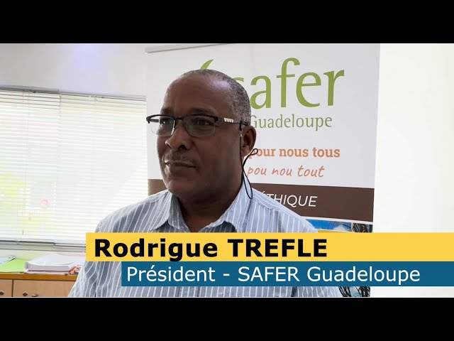 Soutenir l'Agriculture en Guadeloupe : L'engagement de la Safer Guadeloupe