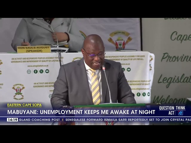 Unemployment keeps me awake at night  - Mabuyane