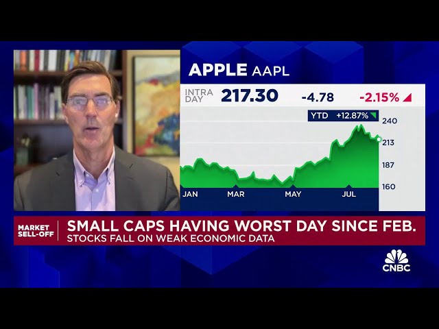 ⁣Bernstein's Toni Sacconaghi breaks down his expectation for Apple's earnings and iPhone sa