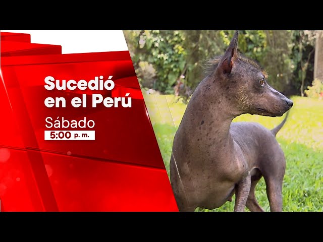 Sucedió en el Perú: Compañeros de Ruta (03/08/2024) Promo | TVPerú