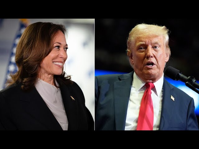 ‘Tipping point’: Kamala Harris takes the lead in US election polls