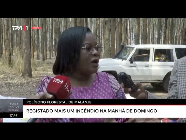 Polígono florestal de Malanje registado mais um incêndio na manhã de domingo