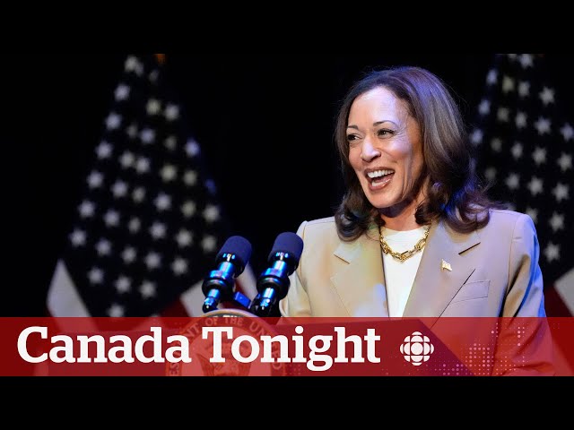 Harris’s VP choices have much to offer, Democratic strategist says | Canada Tonight