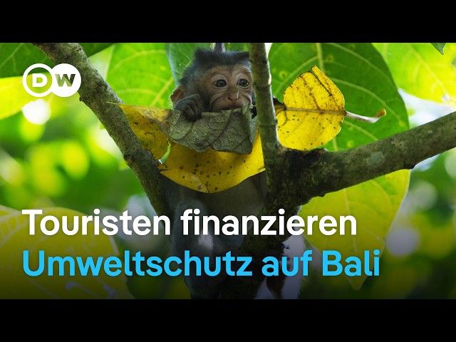 Naturschutz auf Bali: Wie Touristen dazu beitragen | DW Nachrichten