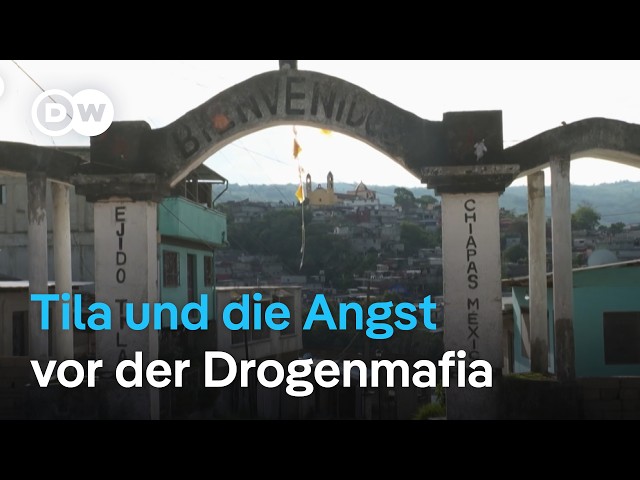 ⁣Tila in Mexiko: Eine Stadt im Würgegriff der Drogenmafia | DW Nachrichten