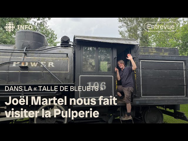 ⁣Dans la talle de bleuets de Joël Martel