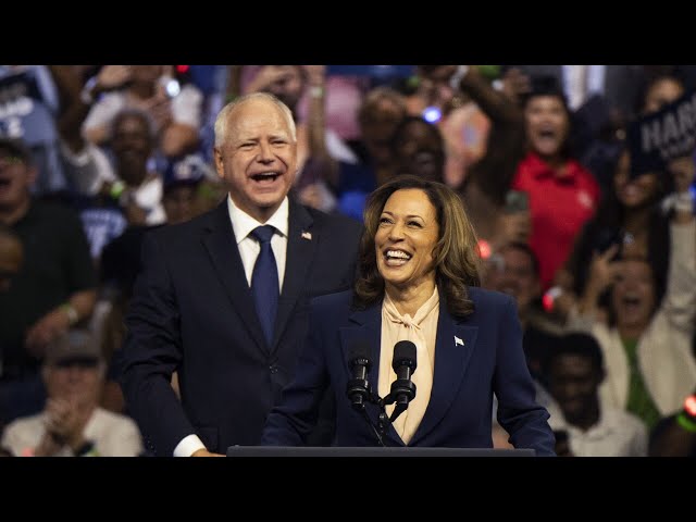 Kamala Harris: ‘We are the underdogs’ but ‘have the momentum’ to win