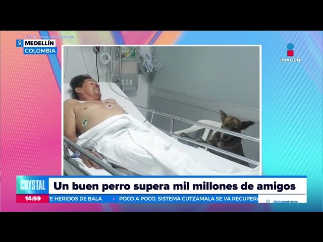 ⁣Hombre llega a urgencias acompañado de su perrito | Noticias con Crystal Mendivil