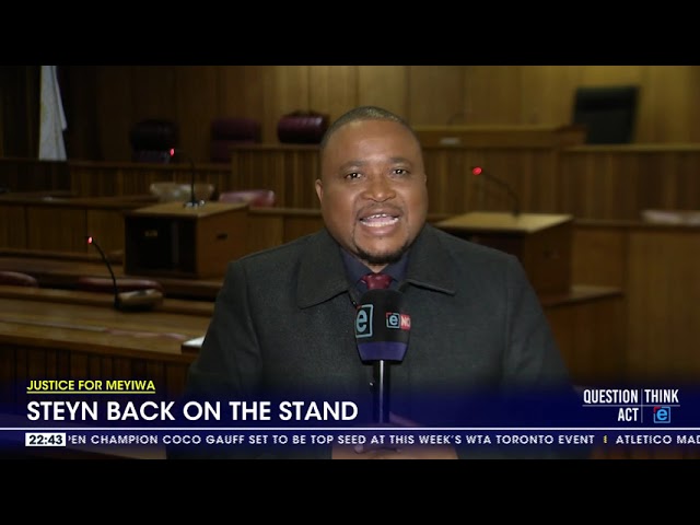 Senzo Meyiwa Murder Trial | Steyn back on the stand