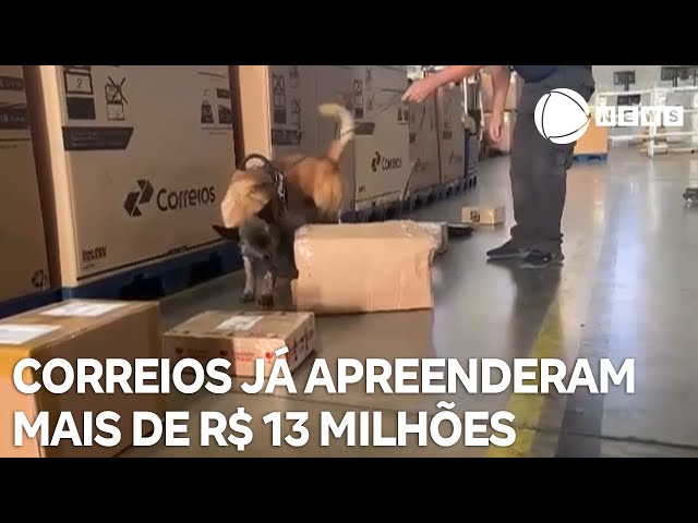 Correios já apreenderam mais de R$ 13 milhões em produtos ilícitos em 2024