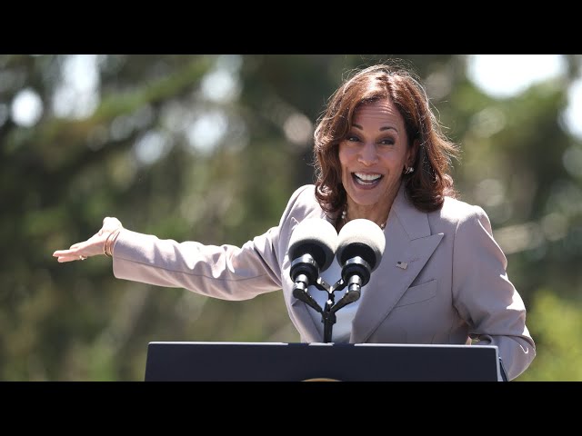 Kamala Harris part of the ‘lefty loons’ camp of the Democrat Party