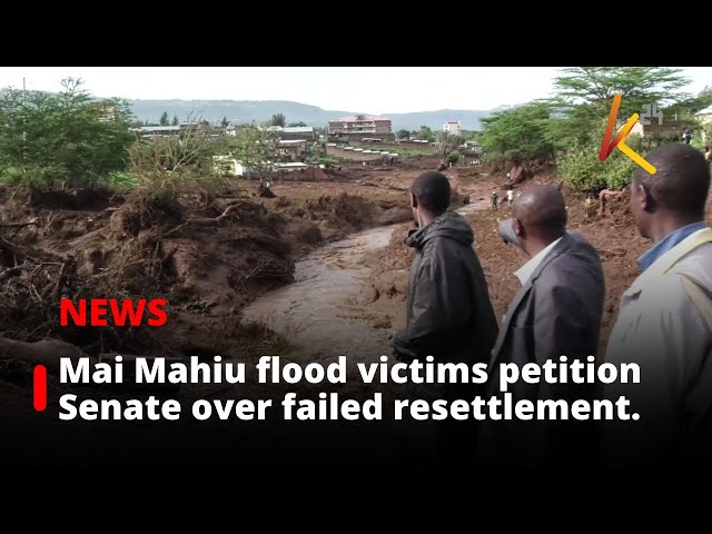 ⁣Mai Mahiu flood victims petition Senate over failed resettlement.