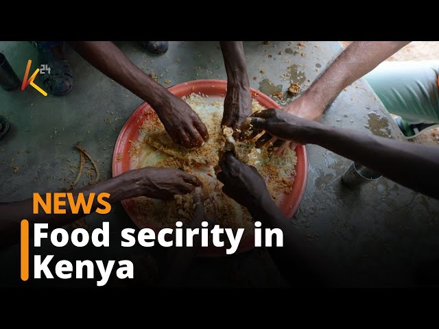 ⁣Farmers in Nakuru embrace multi storey gardening to curb the effects of drought