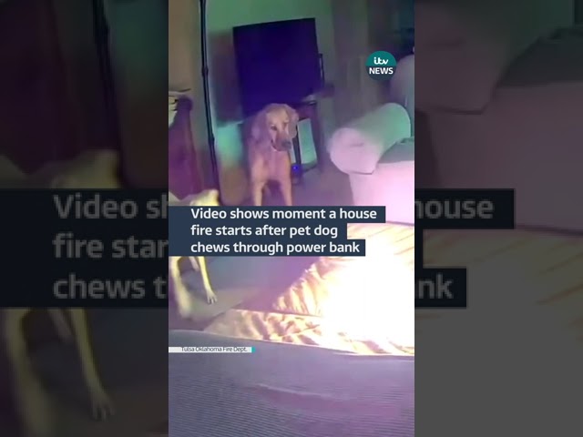 ⁣Video shows moment a house fire starts after pet dog chews through power bank