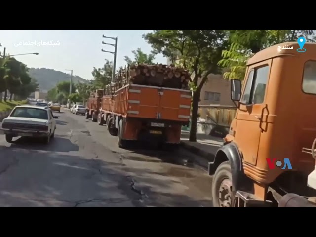 ⁣کامیون‌های حامل درختان قطع شده جنگلی مقابل اداره منابع طبیعی کردستان