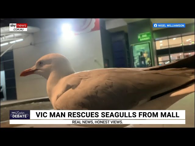 Man rescues five seagulls from shopping centre in viral video