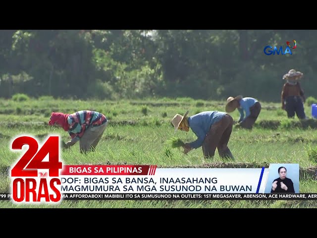 ⁣DOF: Bigas sa bansa, inaasahang magmumura sa mga susunod na buwan | 24 Oras