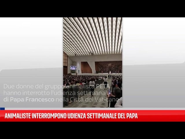 ⁣Animaliste interrompono l'udienza settimanale del Papa