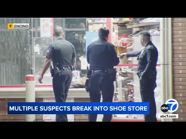 ⁣Police searching for 5 suspects in Encino shoe store break-in