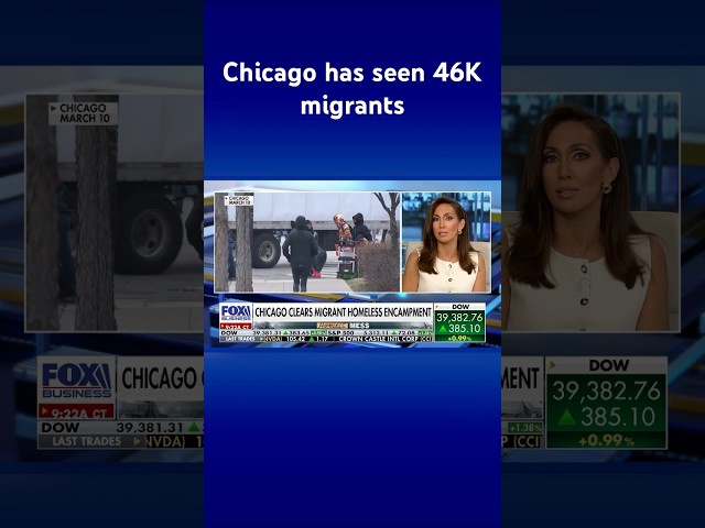 ⁣Chicago officials deny clearing migrant homeless encampment for upcoming DNC #shorts