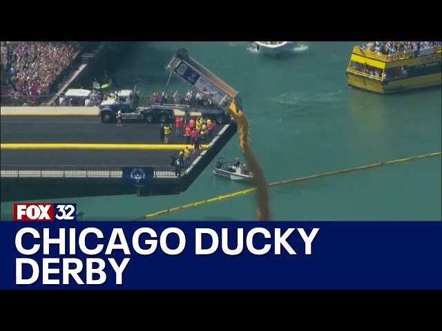 ⁣WATCH: Chicago Ducky Derby makes big splash for Special Olympics Illinois