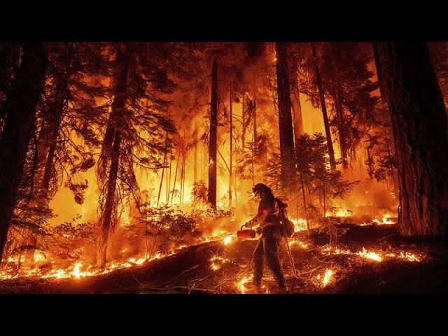 No Comment : les pompiers américains font face à un mégafeu qui ravage la Californie