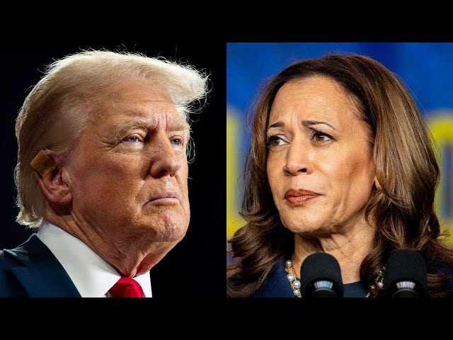 ⁣Where Trump, Harris stand on abortion rights