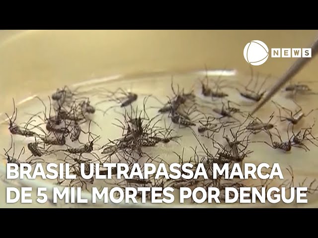 Brasil ultrapassa marca de 5 mil mortes por dengue