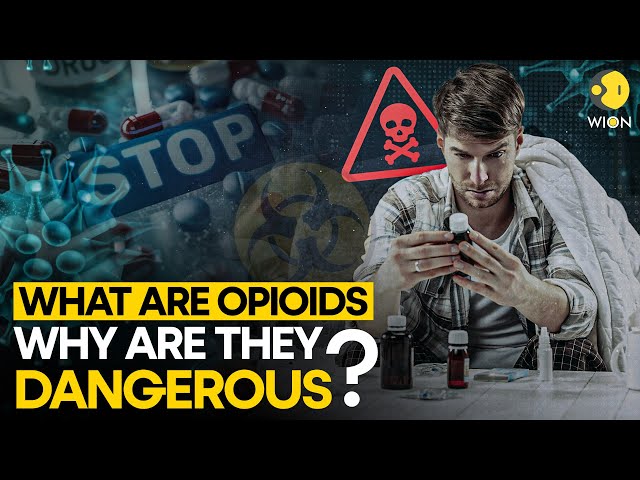 ⁣Opioid epidemic: What are Opioids? Understanding Side Effects & Disorders | WION Originals