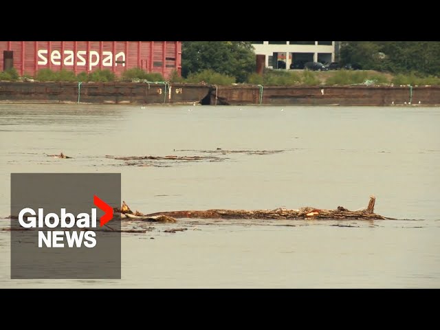 ⁣BC landslide: 2.5M dump truckloads of debris went into river when Chilcotin blockage broke