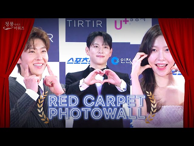 ⁣Red Carpet Photowall [The 3rd Blue Dragon Series Awards] | KBS WORLD TV 240809