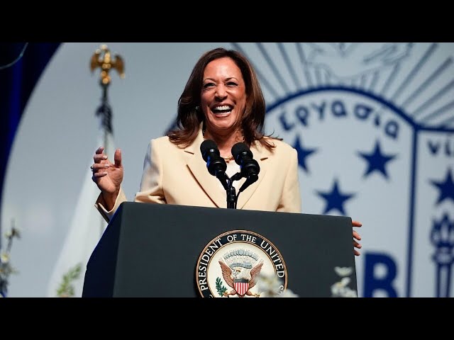 ‘Nobody’s really holding her to account’: Kamala Harris getting ‘all the positive attention’