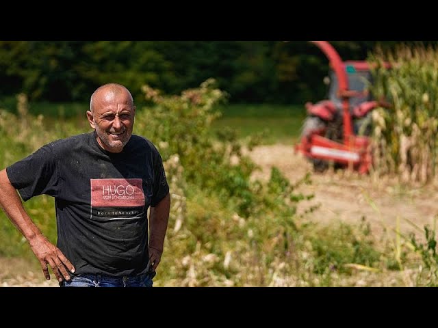 "Wir sind nicht an ihren Profiten interessiert": Landwirte protestieren gegen riesige…