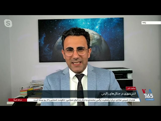 ⁣جنگل‌های زاگرس در آستانه نابودی؛ عوامل و دلایل آن در گفت‌وگو با منصور سهرابی