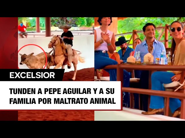 Tunden a Pepe Aguilar y a su familia por maltrato animal