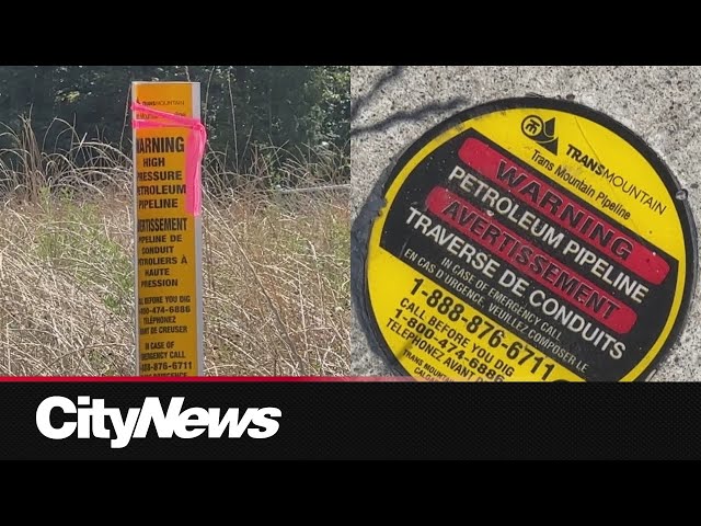 ⁣Land defenders plant trees to rehabilitate area damaged by Trans Mountain pipeline