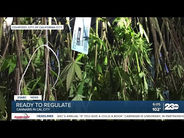 ⁣Cal City cracks down on cannabis business out of compliance