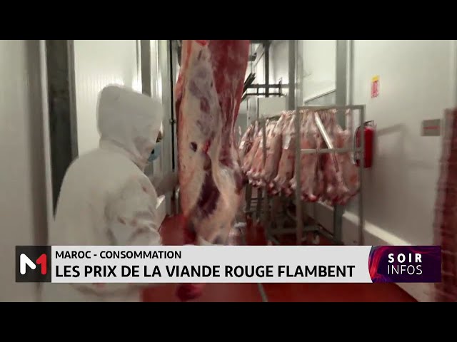 ⁣Maroc : Les prix de la viande rouge flambent