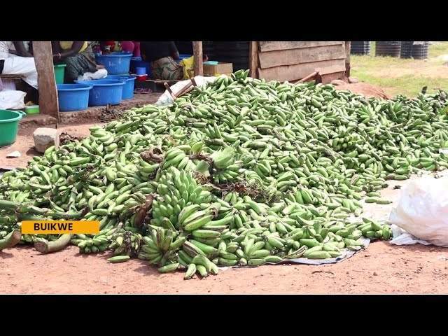 ⁣Adding value to bananas - Ministers Kaboyo, Mutasingwa visit Banana processing company in Buikwe