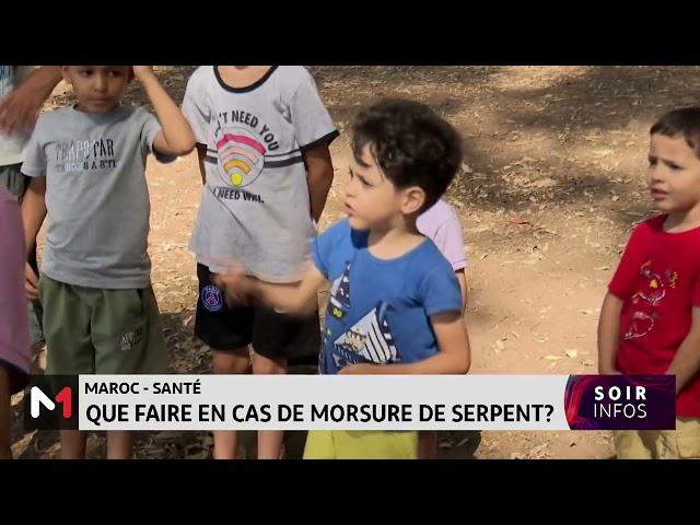 ⁣Que faire en cas de morsure de serpent ?